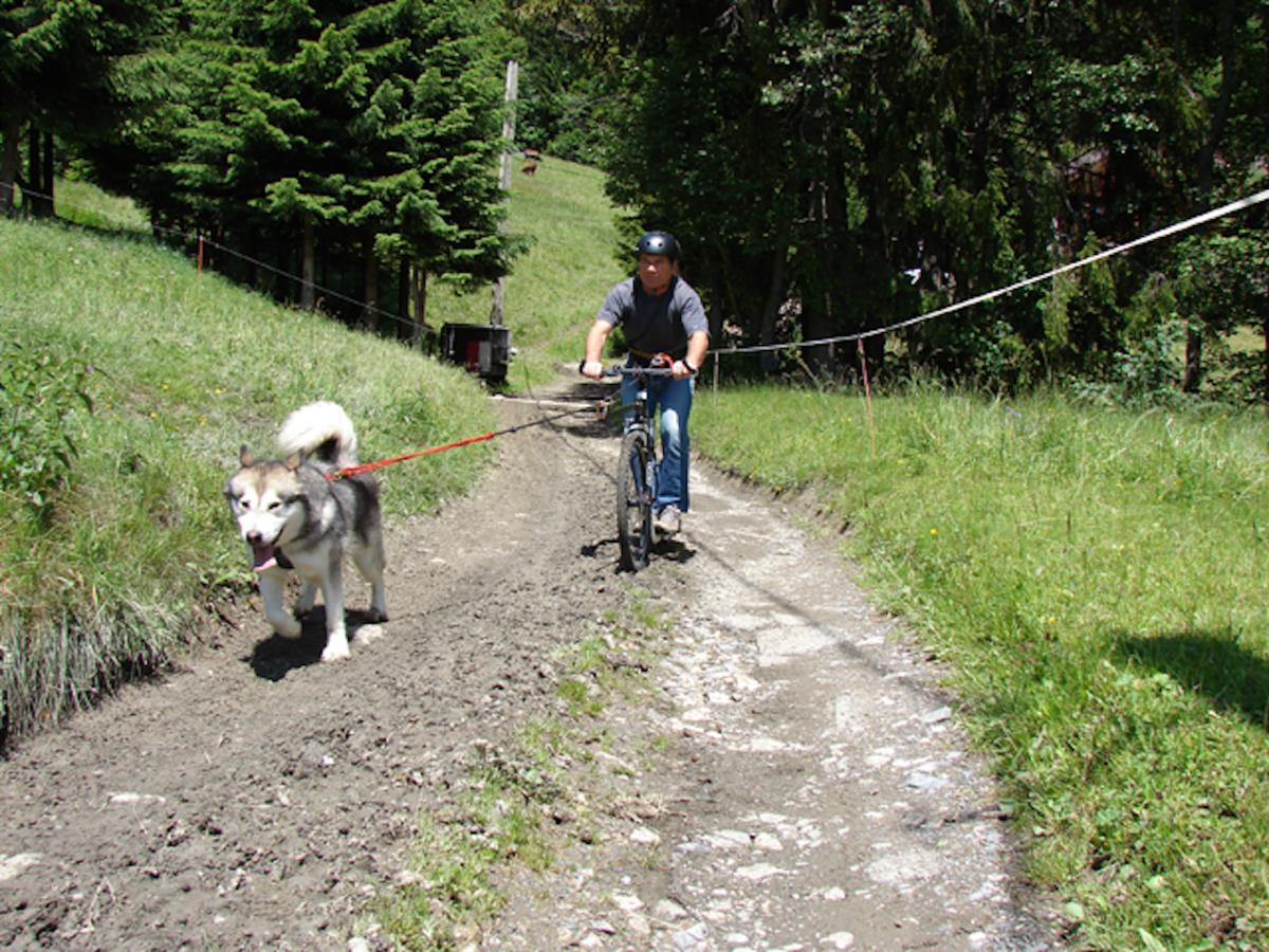 Chalet L'Attrape Coeur Megève Kültér fotó